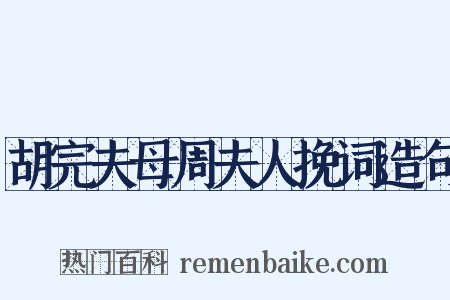 胡完夫母周夫人挽词造句是什么意思的图片